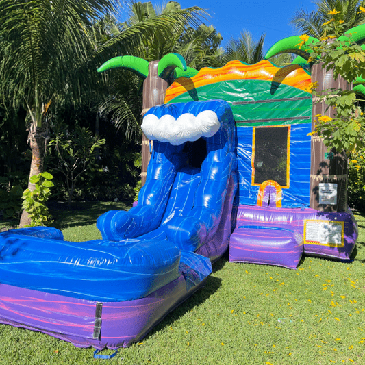 FireFest Bounce House/Slide All Day Entry (1-6 p.m) Age Limits Apply